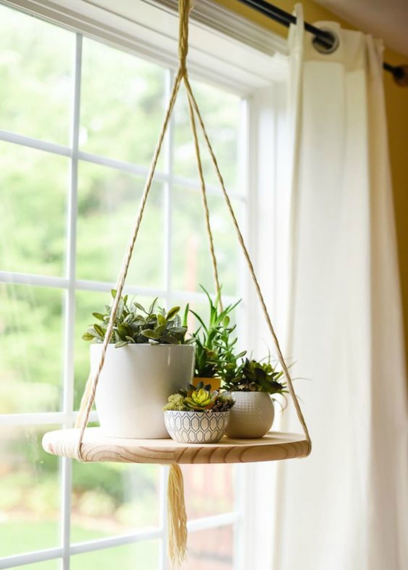  Hanging Wooden Board for Potted Succulents