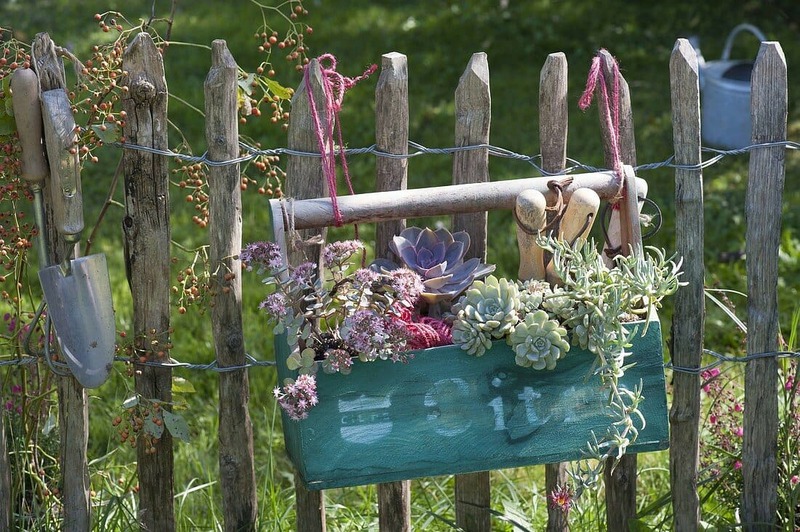  Succulents in Hanging Tool Box