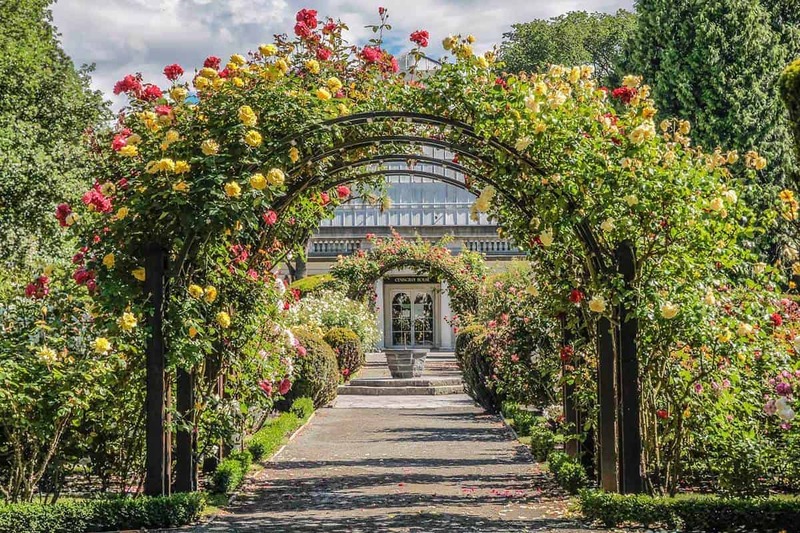 Lined Walkway