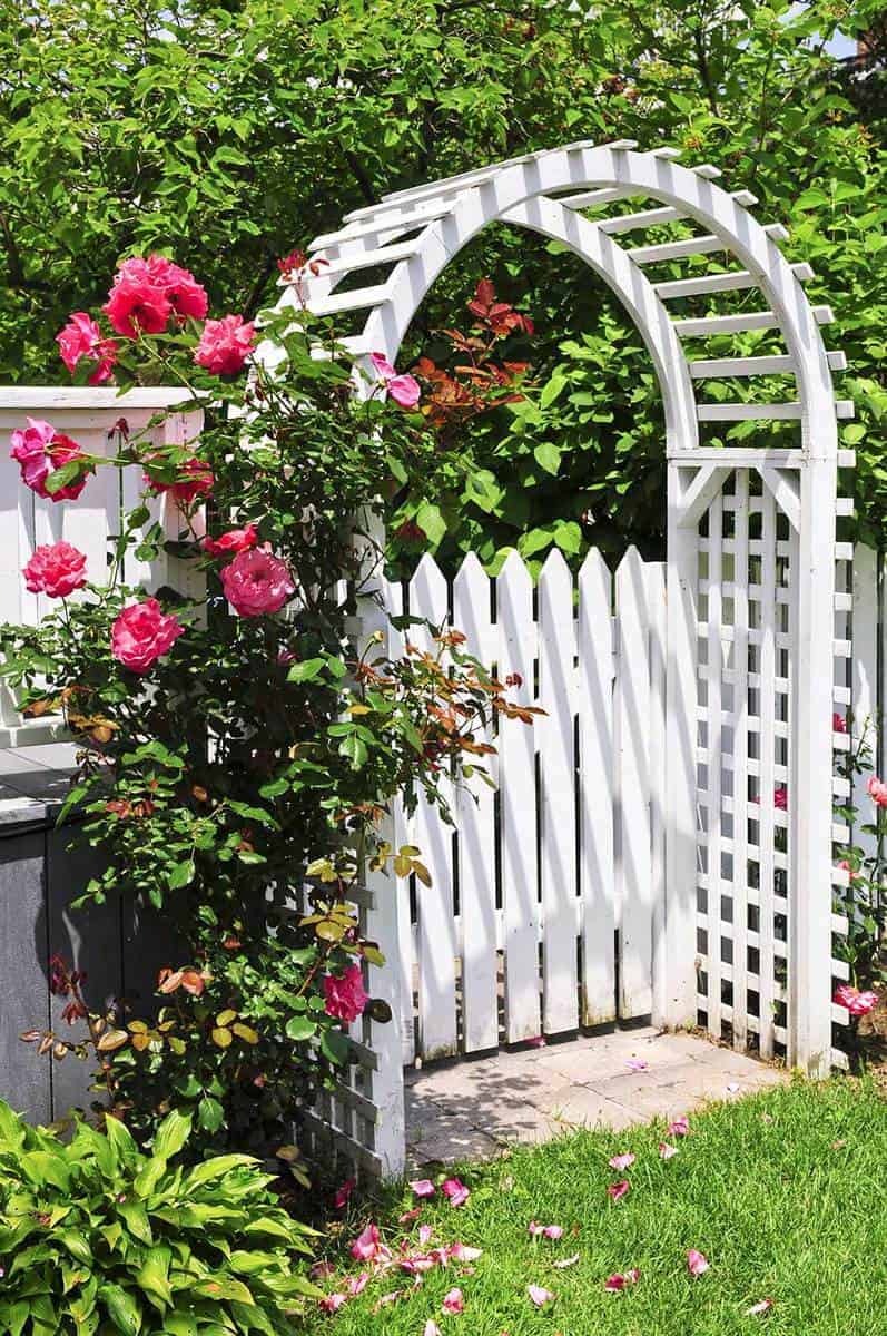 Garden Arch