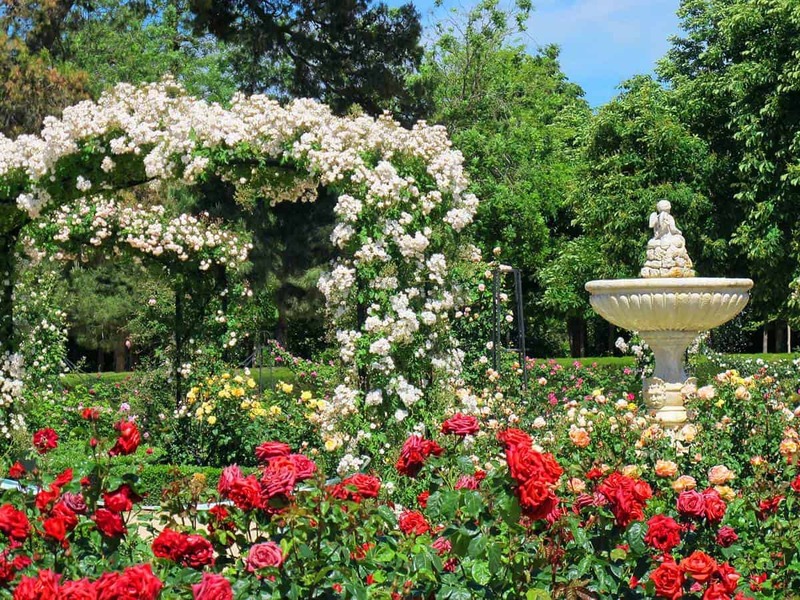  Garden Fountain