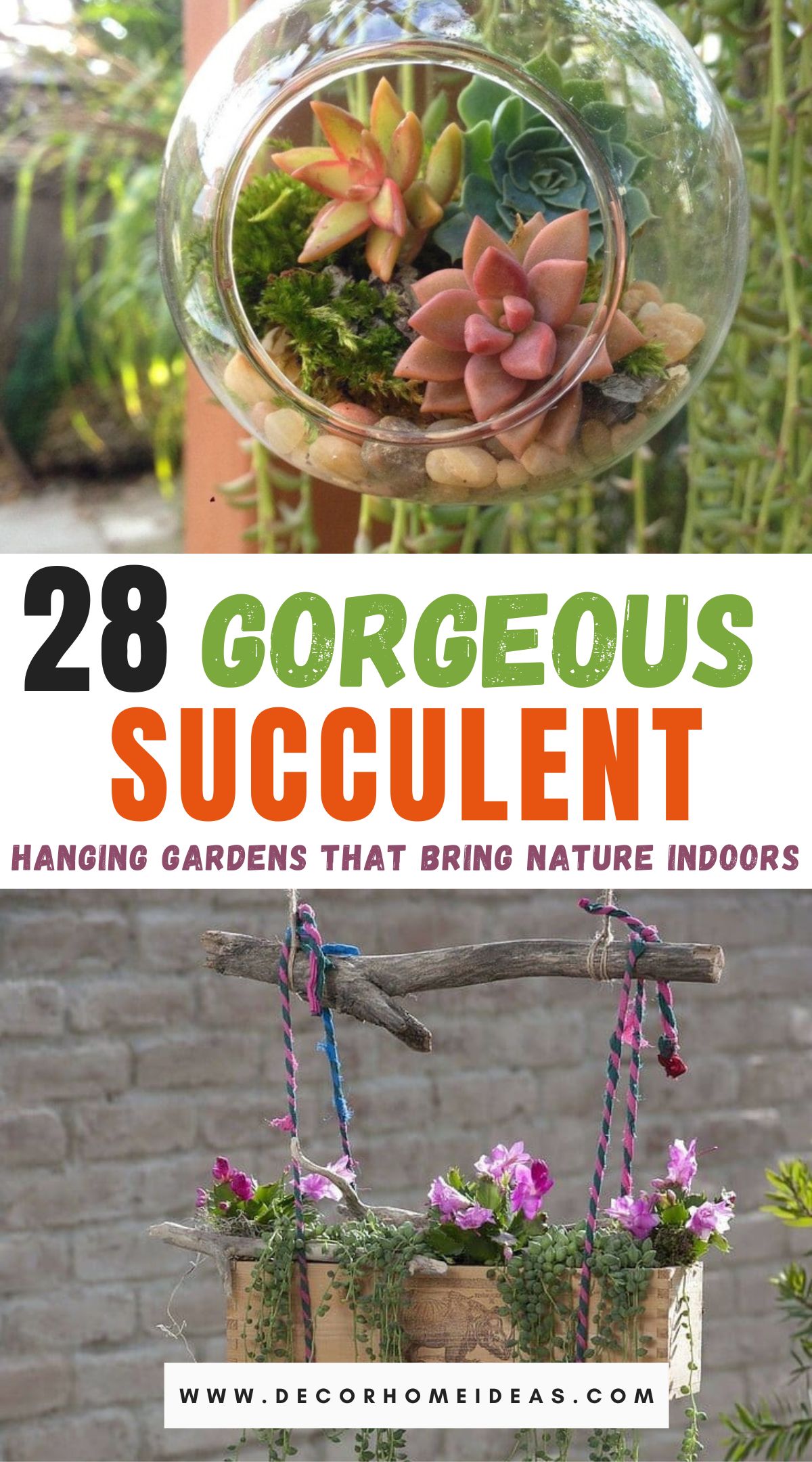 Best Succulent Hanging Garden Ideas