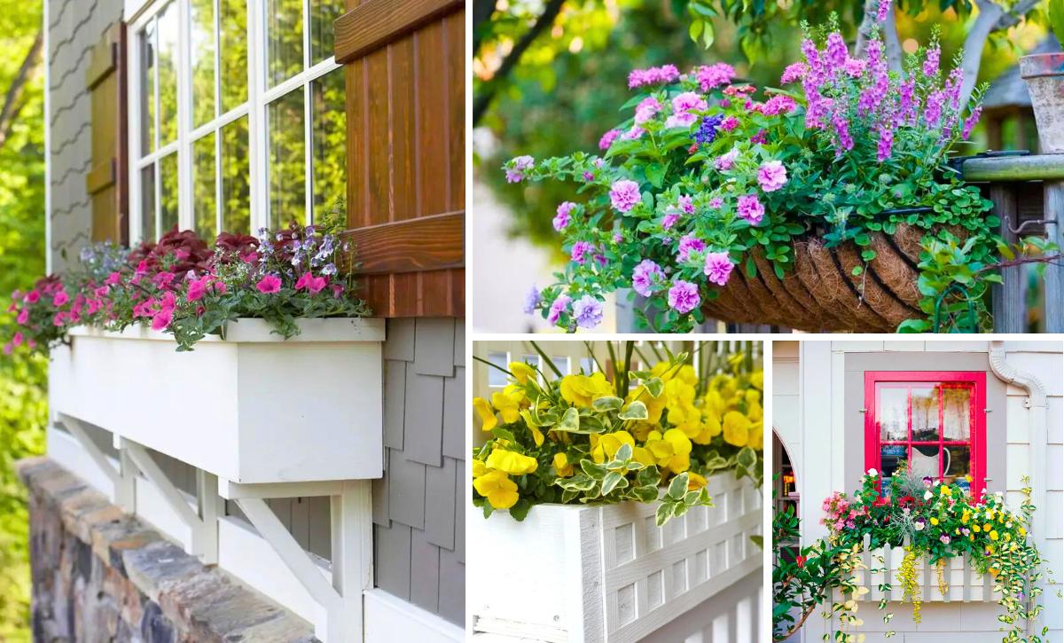 17 Flower Window Box Planters Worth Falling in Love With