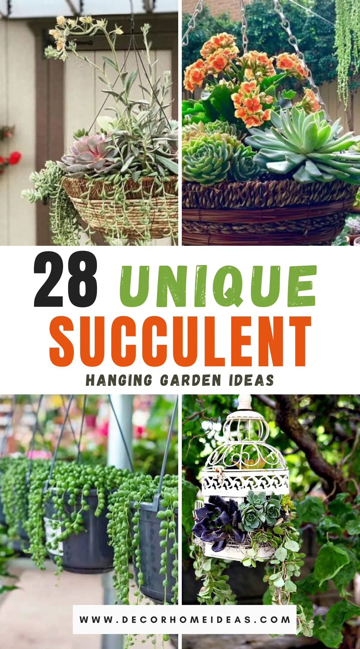 Elevate your space with these 28 unique succulent hanging garden ideas that blend creativity with nature. From cascading arrangements to minimalist designs, these inspirations are perfect for adding a touch of greenery to any room. Discover innovative ways to display your favorite succulents in stunning, space-saving setups!