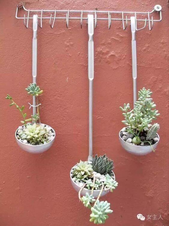 Special Ladles Succulent