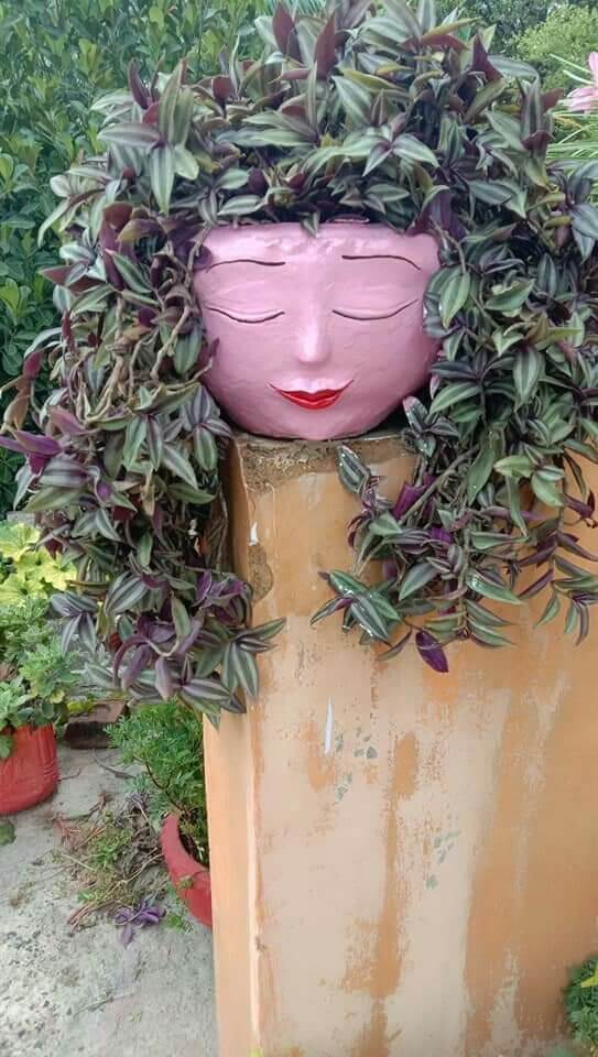 Stunning Planter