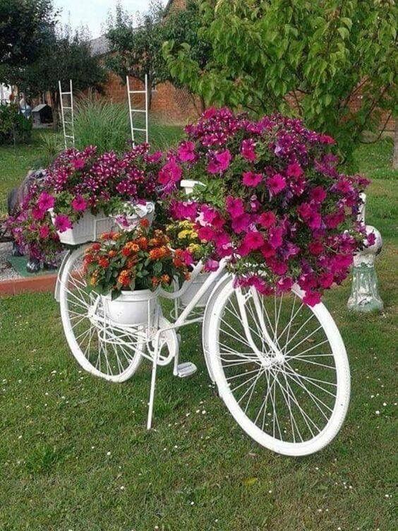 Beautifull Bike With Flower