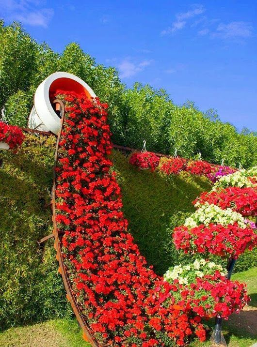 Amazing Garden