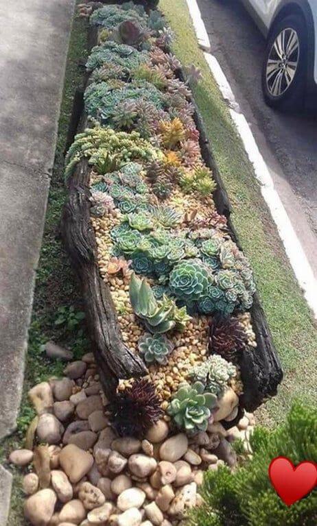 Driftwood Succulent