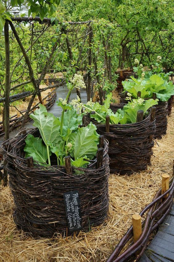 Weave Elevated Vegetable Bed
