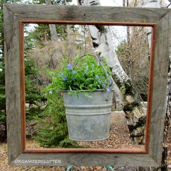 Framed Lobelia Bucket