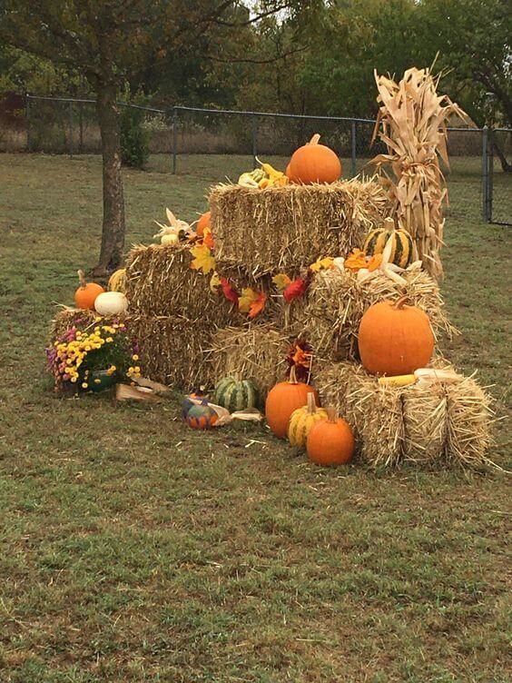 26 Captivating Fall Yard Decorations That Will Turn Your Outdoor Space ...