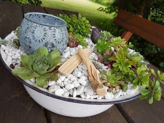 A Mini Succulent Rock Garden