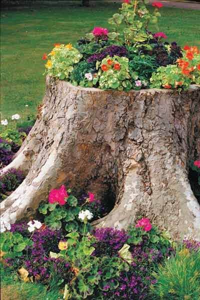 Stump Planter