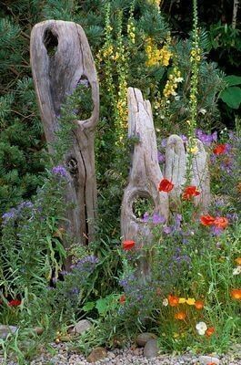 A Unique Garden Corner