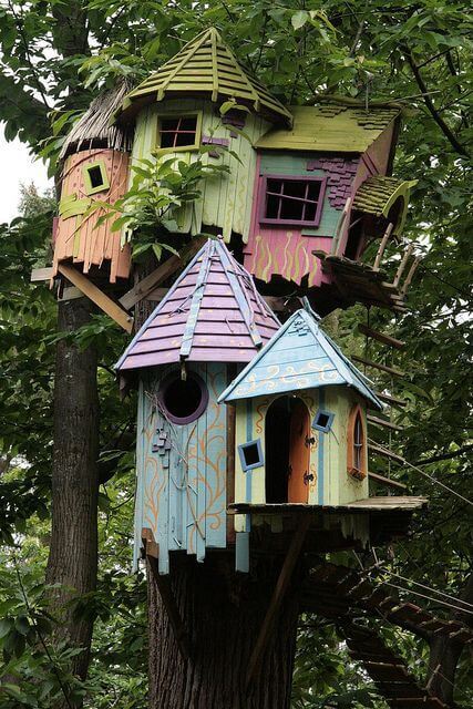 Bird House