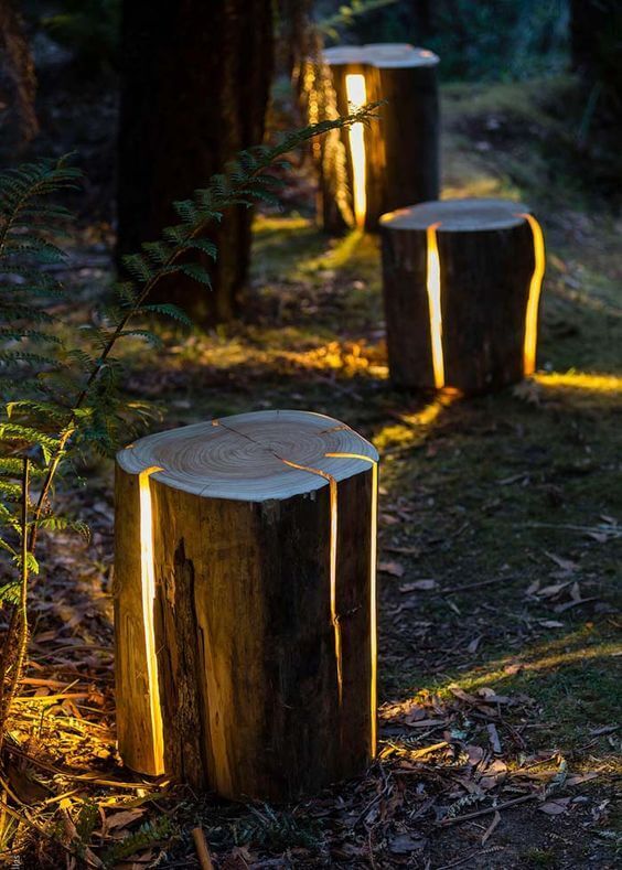 Light Ideas With Log