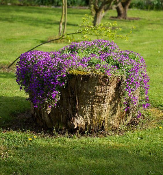  Flower Pot Made Of Tree Stump