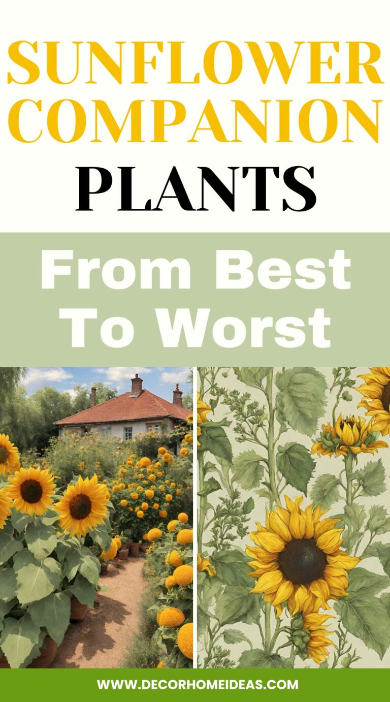 Gardening Secrets Revealed: The Top Plants to Pair with Sunflowers