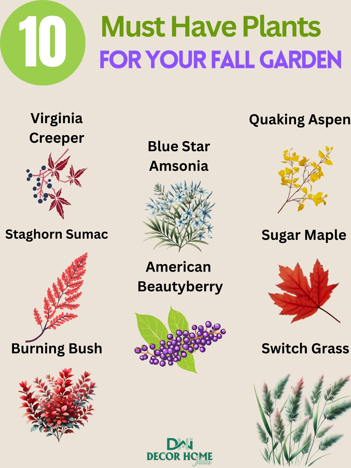 10 Best Colorful Plants to Enhance Your Fall Landscape