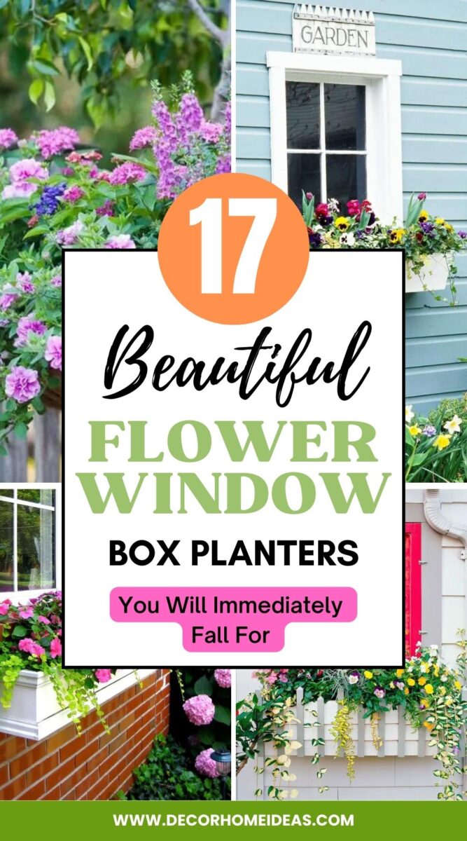 17 Flower Window Box Planters Worth Falling in Love With