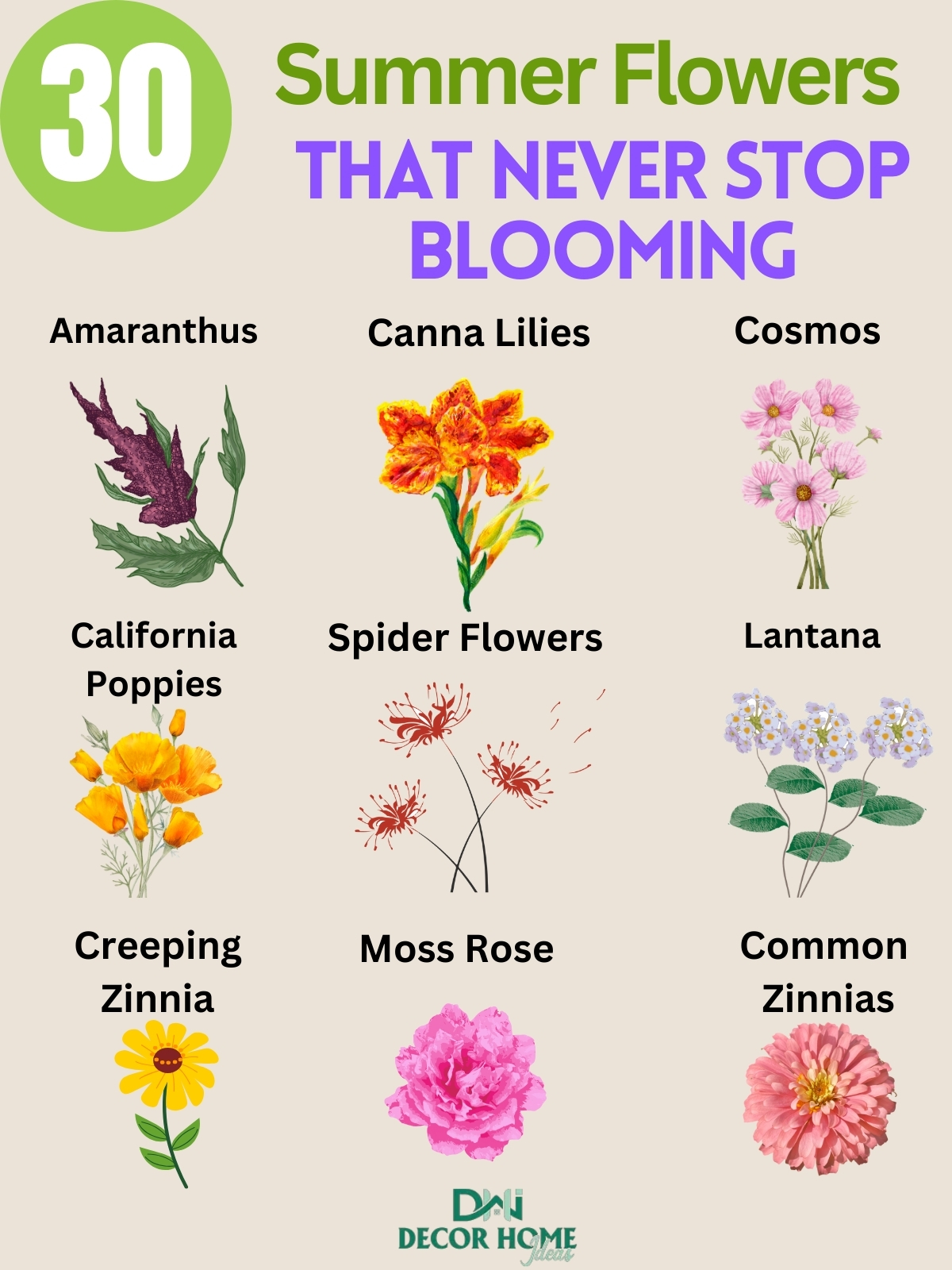 Unlock Your Garden’s Secret 30 Summer Flowers That Never Stop Blooming