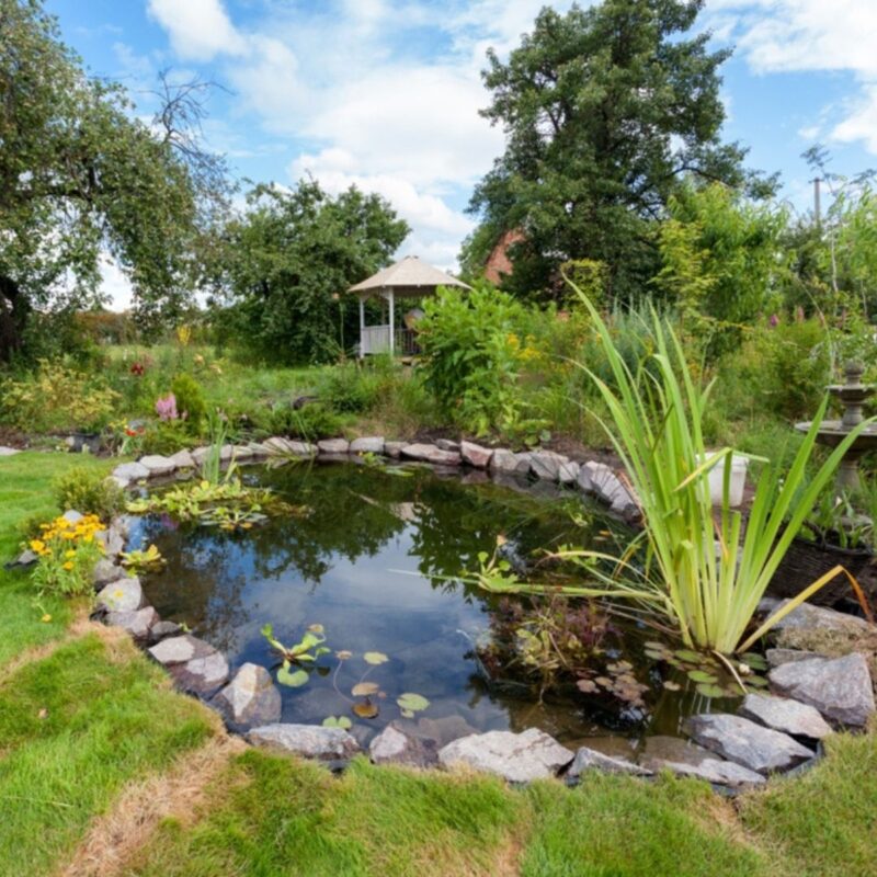 28 Backyard Pond Ideas: Transform Your Space into a Water Oasis