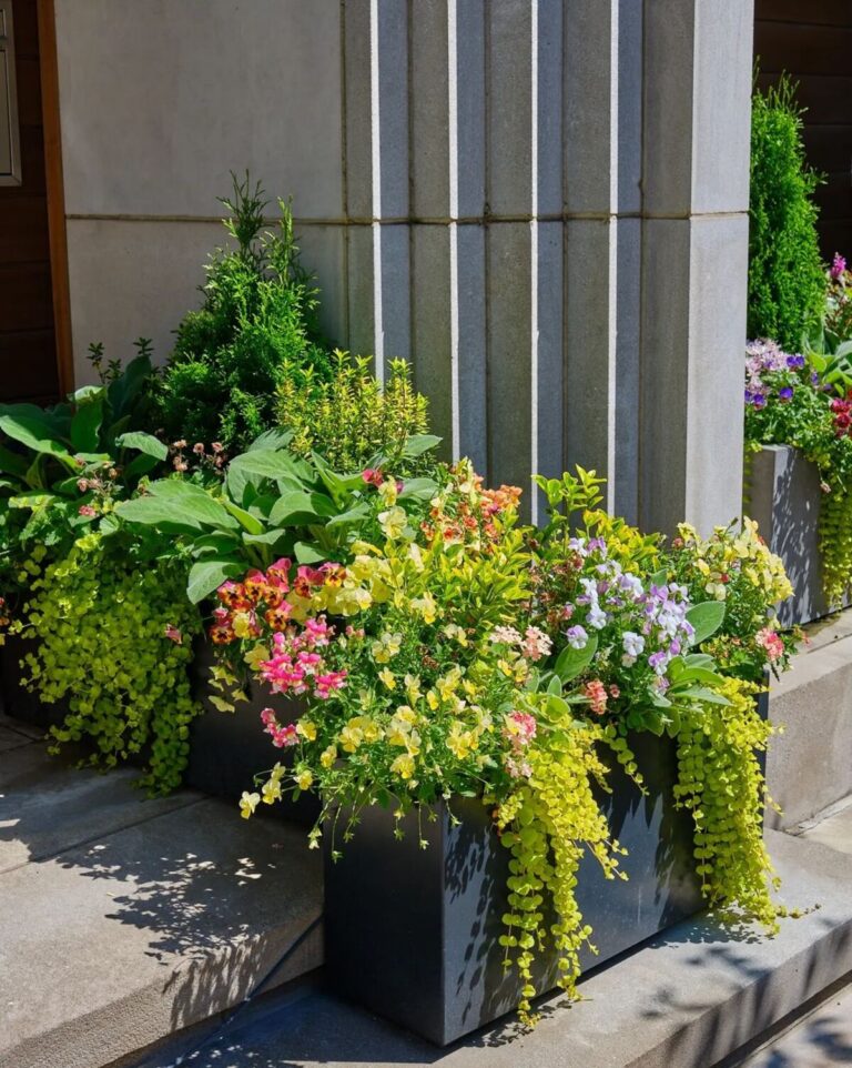 24 Spring Planter Ideas To Infuse New Life Into Your Garden