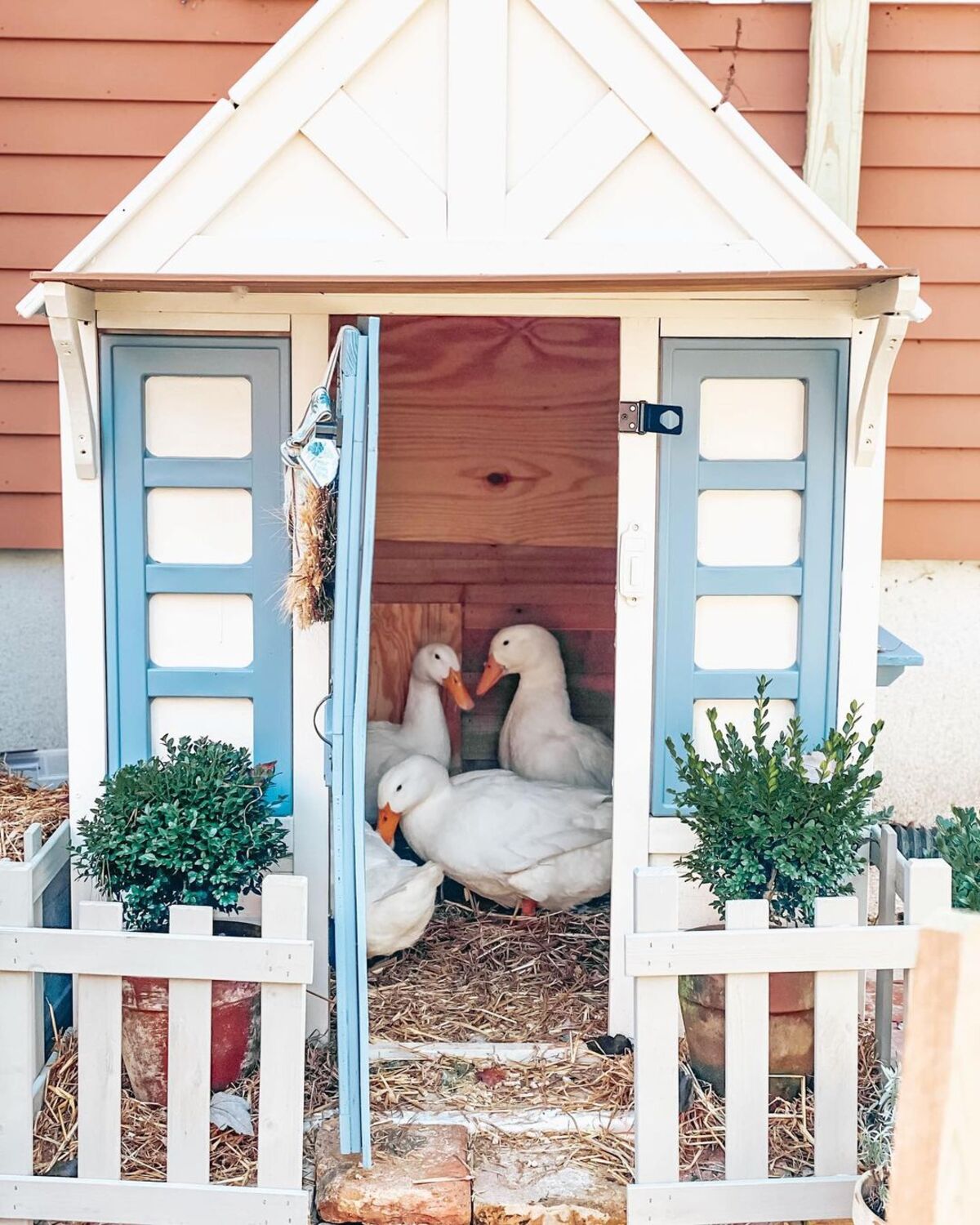 20 duck house ideas backyards 15