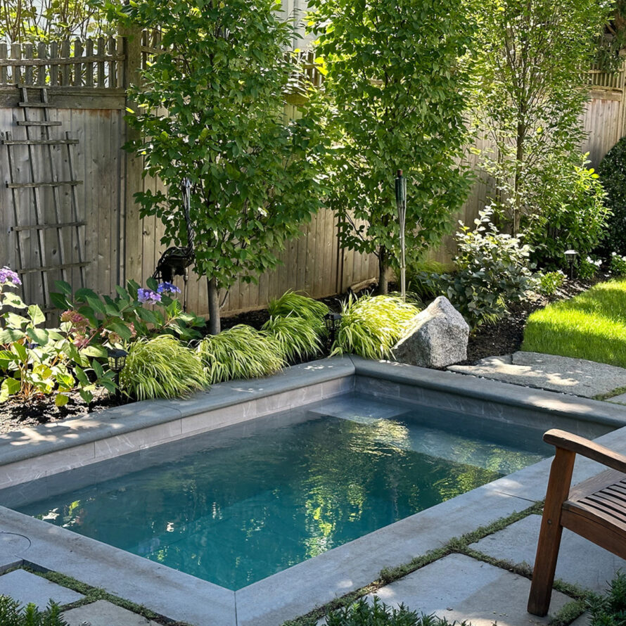 20 landscaping around pool inground 4