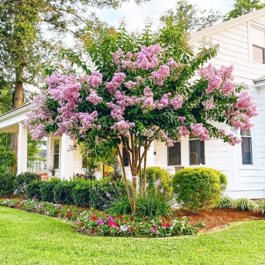 24 innovative front yard landscaping ideas 9