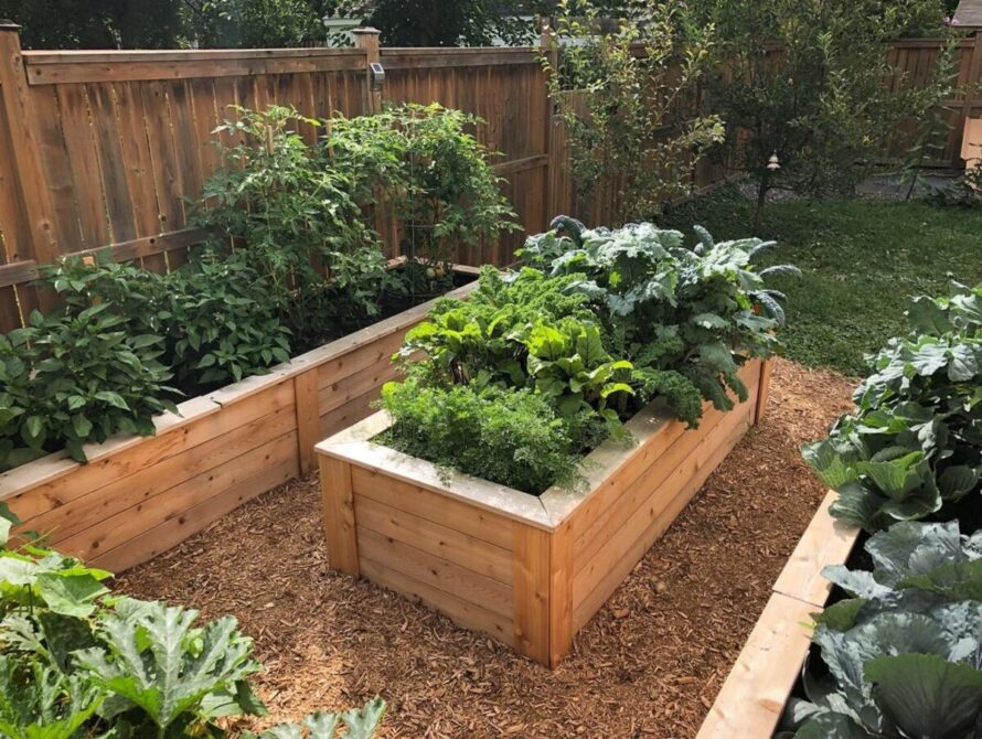 7 backyard garden layout ideas 2