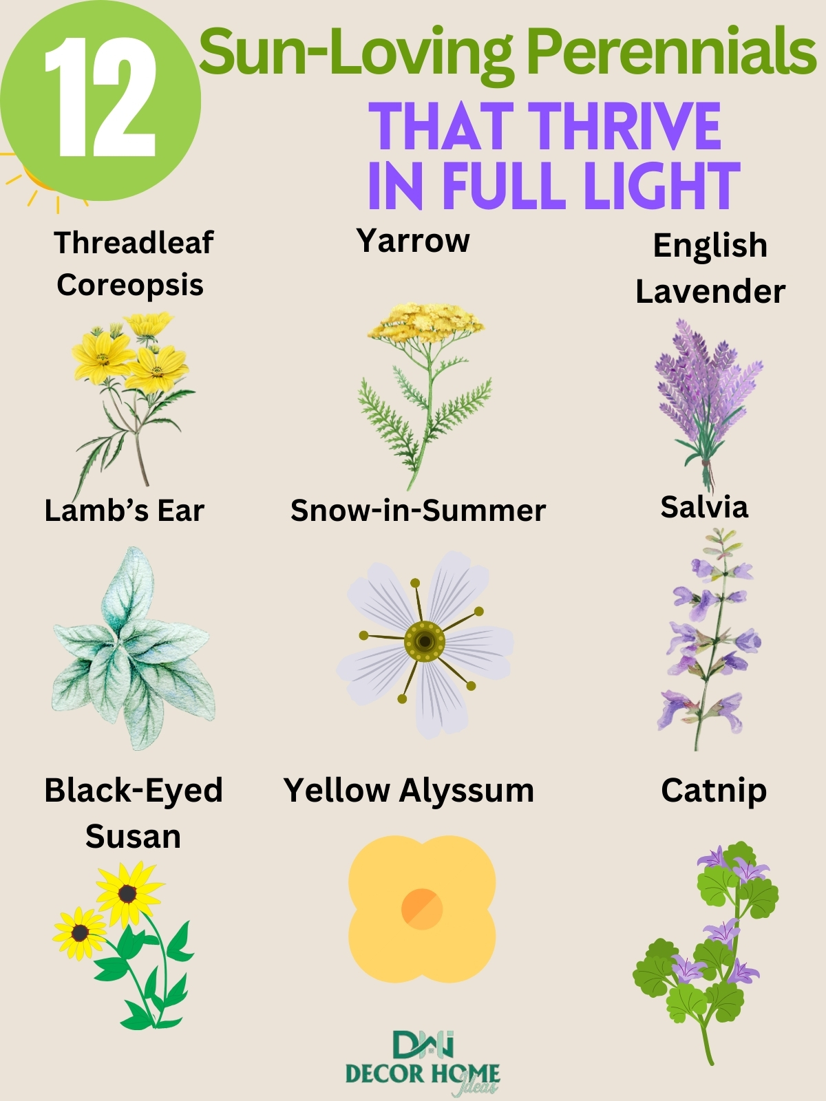 12 Sun Loving Perennials That Thrive in Full Light