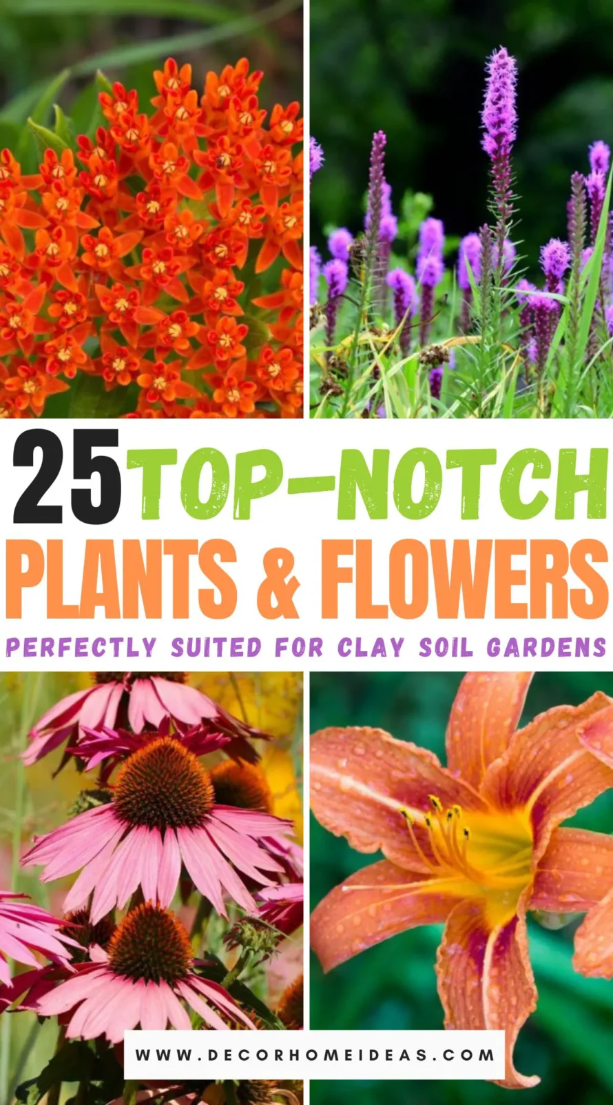 Discover 25 resilient plants that thrive in clay soil, transforming challenging garden conditions into a lush, vibrant landscape. Learn which species excel in dense soil and how to cultivate them for optimal growth. 