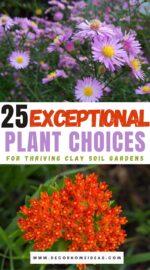 top plants that grow in clay soil