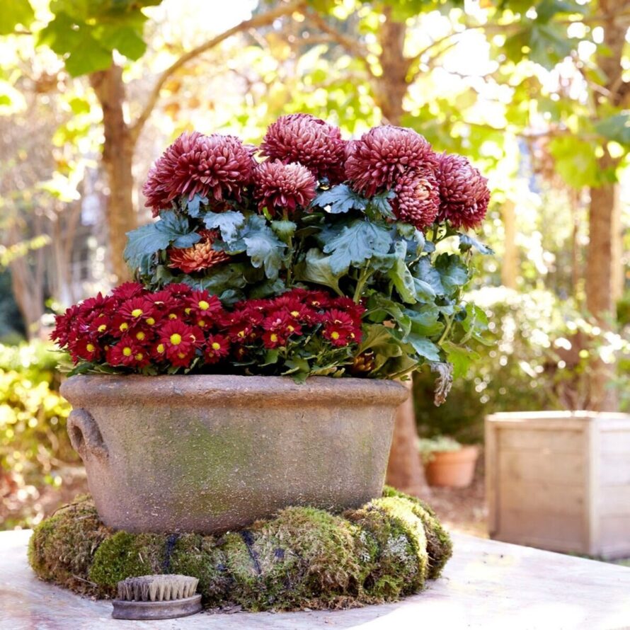 creative diy flower garden ideas 4