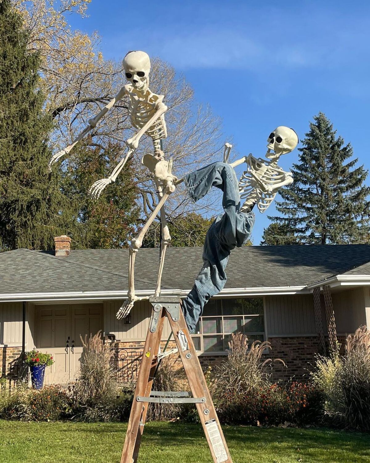 15 spooktacular halloween yard decorations 10