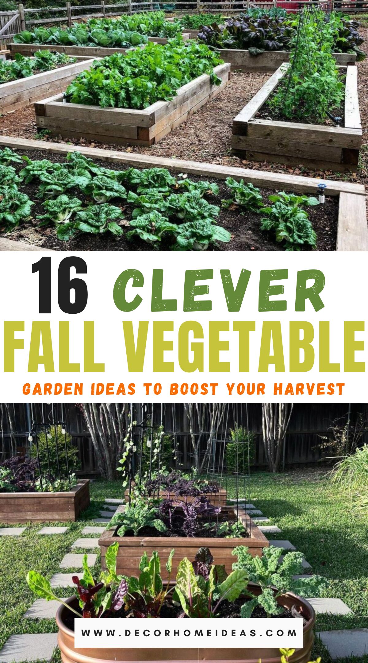 best fall garden vegetables ideas