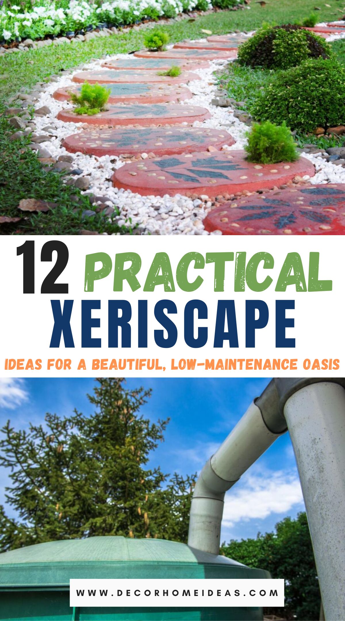 best xeriscape backyard hacks