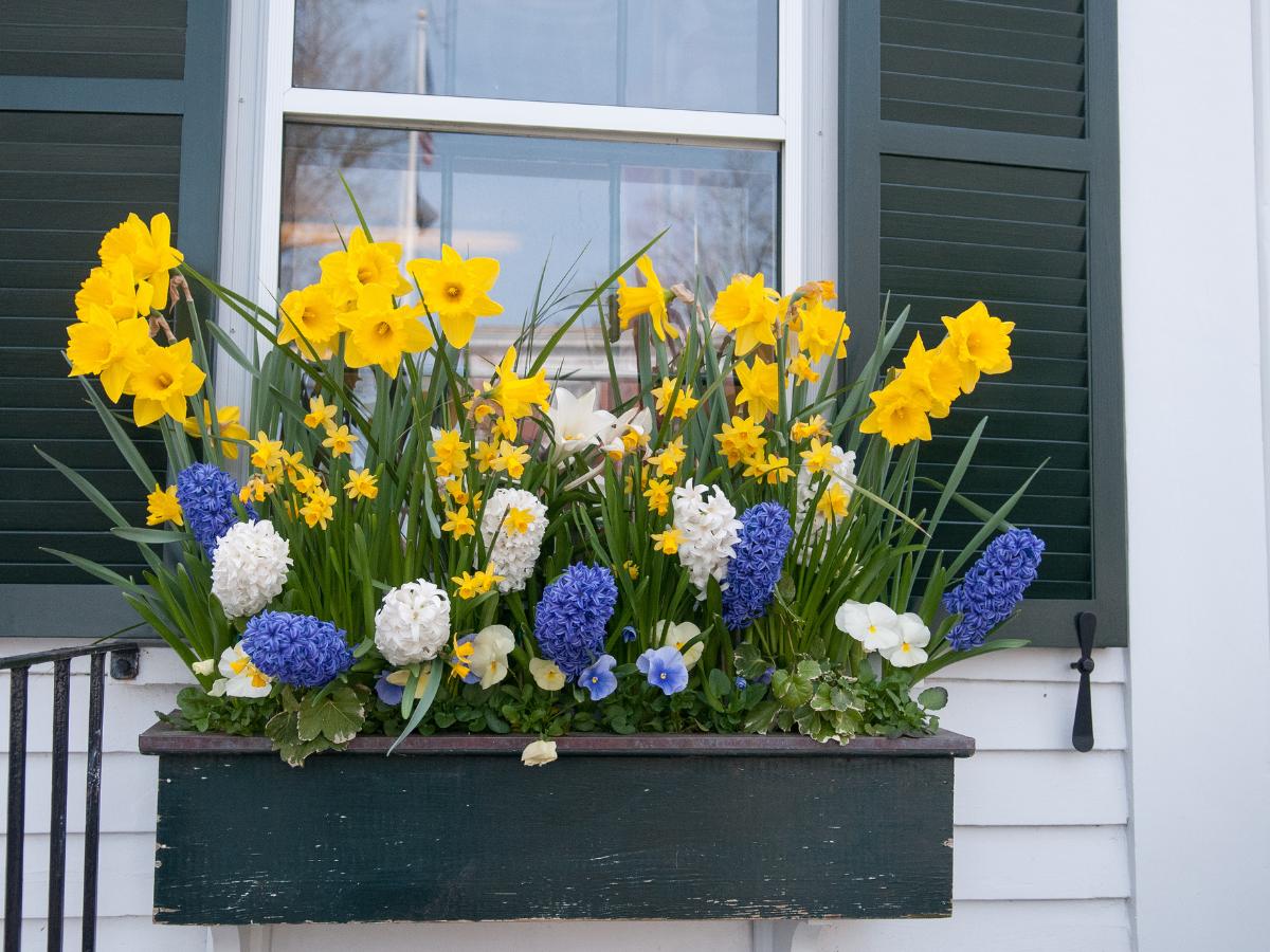 budget friendly curb appeal ideas 13