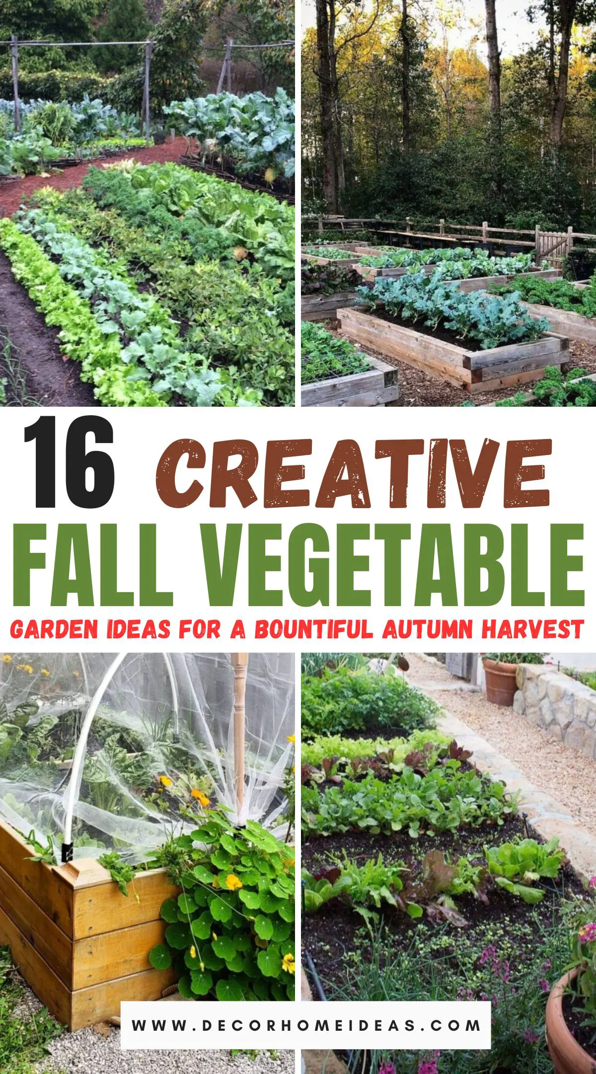 Get ready for a bountiful autumn harvest with these 16 fall vegetable garden ideas! From planting tips to best vegetable varieties, this guide covers everything you need to ensure a productive and colorful garden. Discover how to extend your growing season and enjoy fresh produce all fall long.