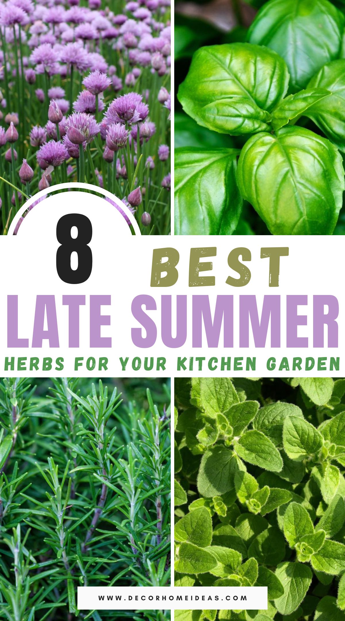 best easy to grow late summer herbs