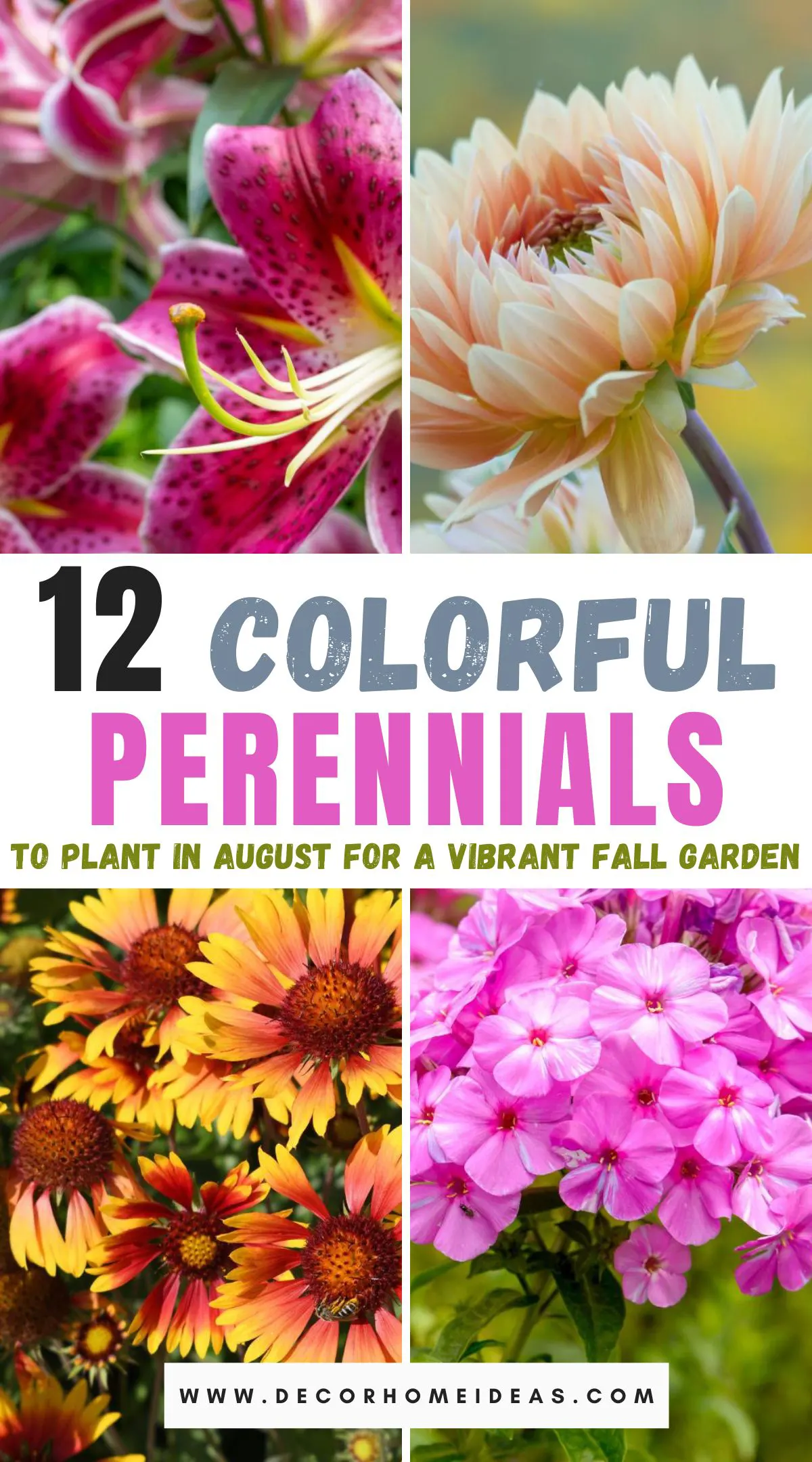 Looking to extend your garden's beauty into the fall? Discover 12 stunning perennials that thrive when planted in August, ensuring a burst of color as summer fades. From rich reds to golden yellows, these resilient plants will keep your garden vibrant well into the cooler months. Find out which varieties are perfect for your space!