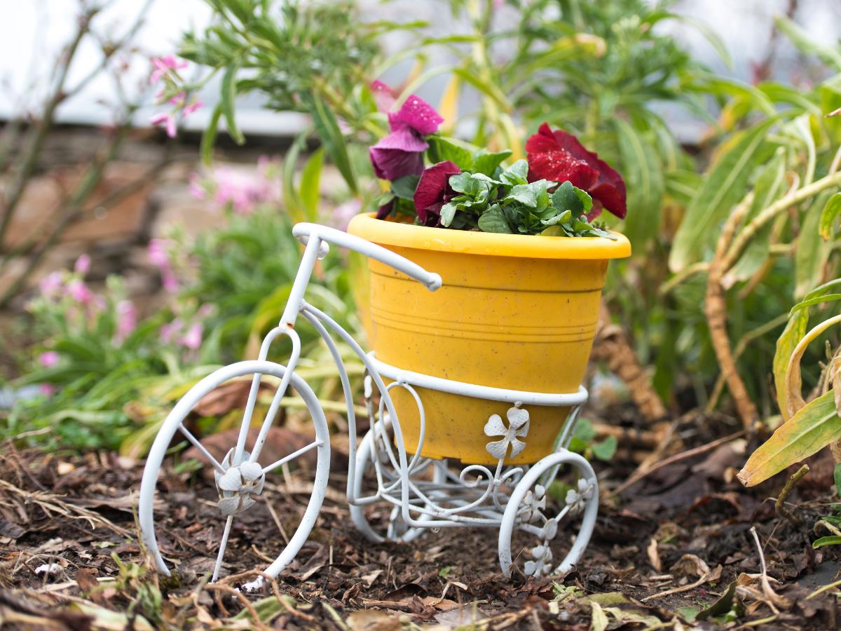 weekend diy garden projects for August 10