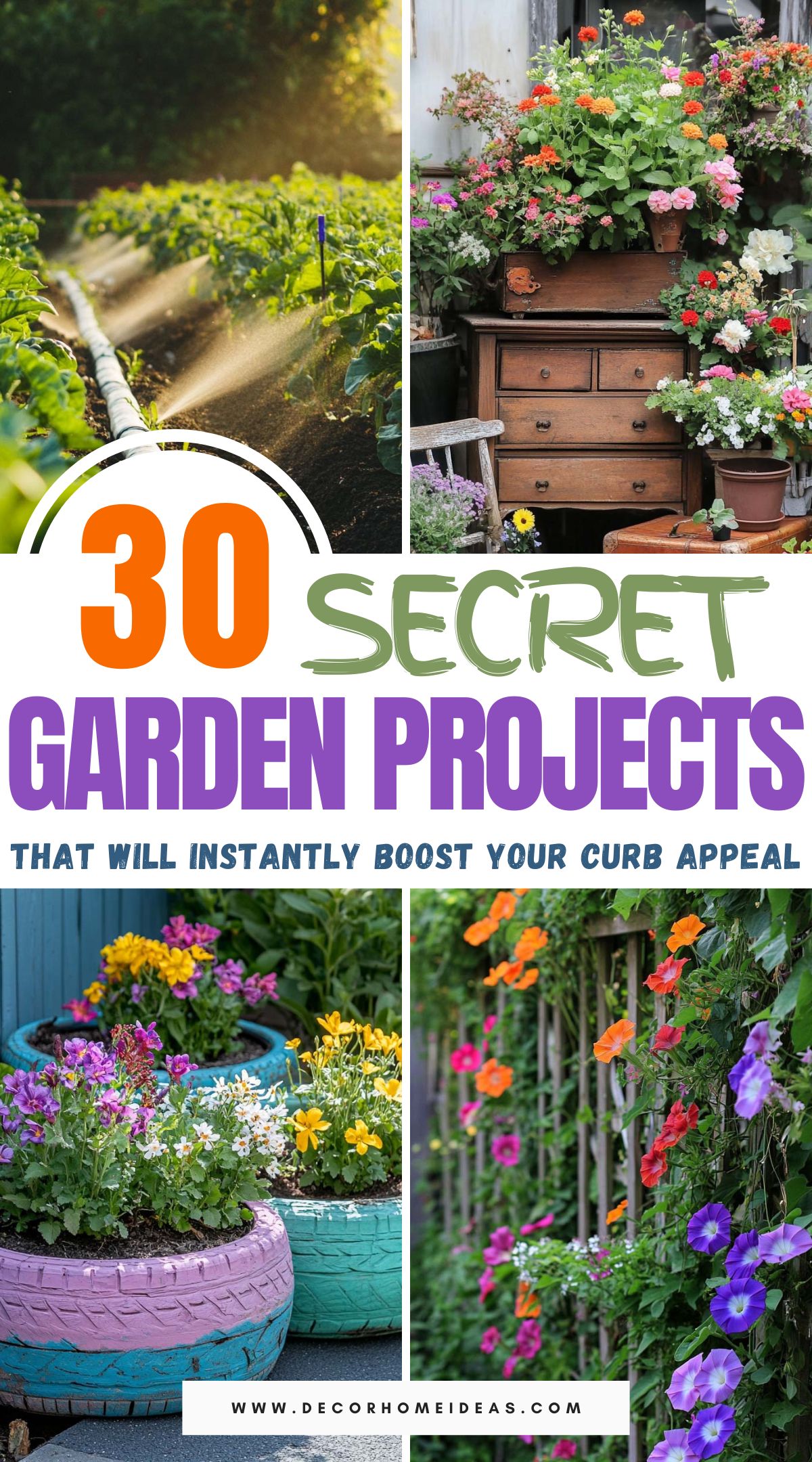 Best Budget Friendly DIY Garden Projects 2