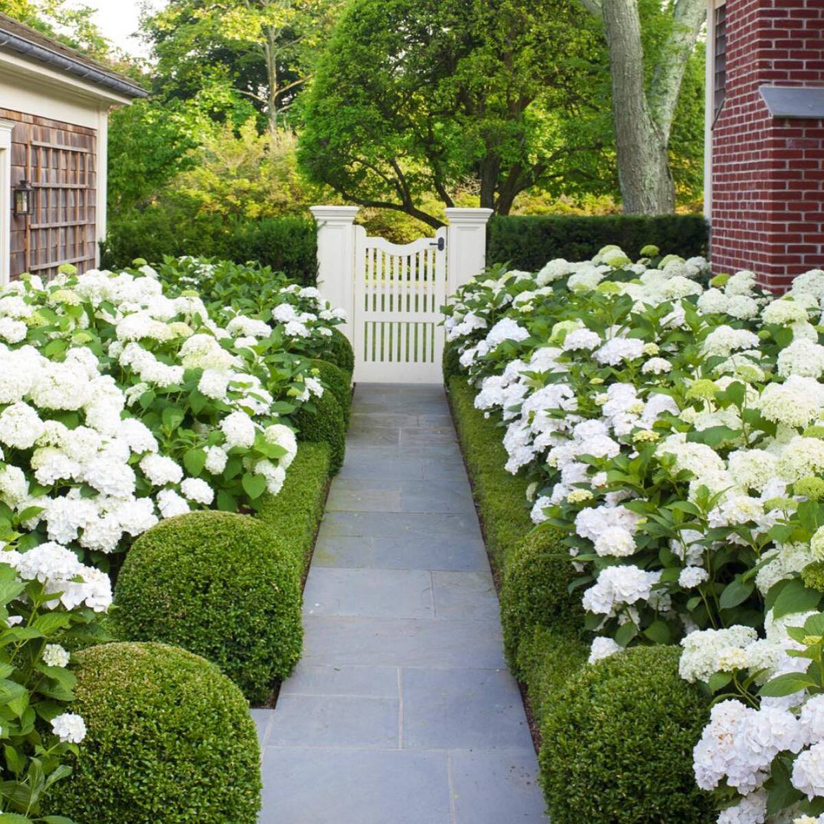 most beautiful boxwood landscaping ideas 12