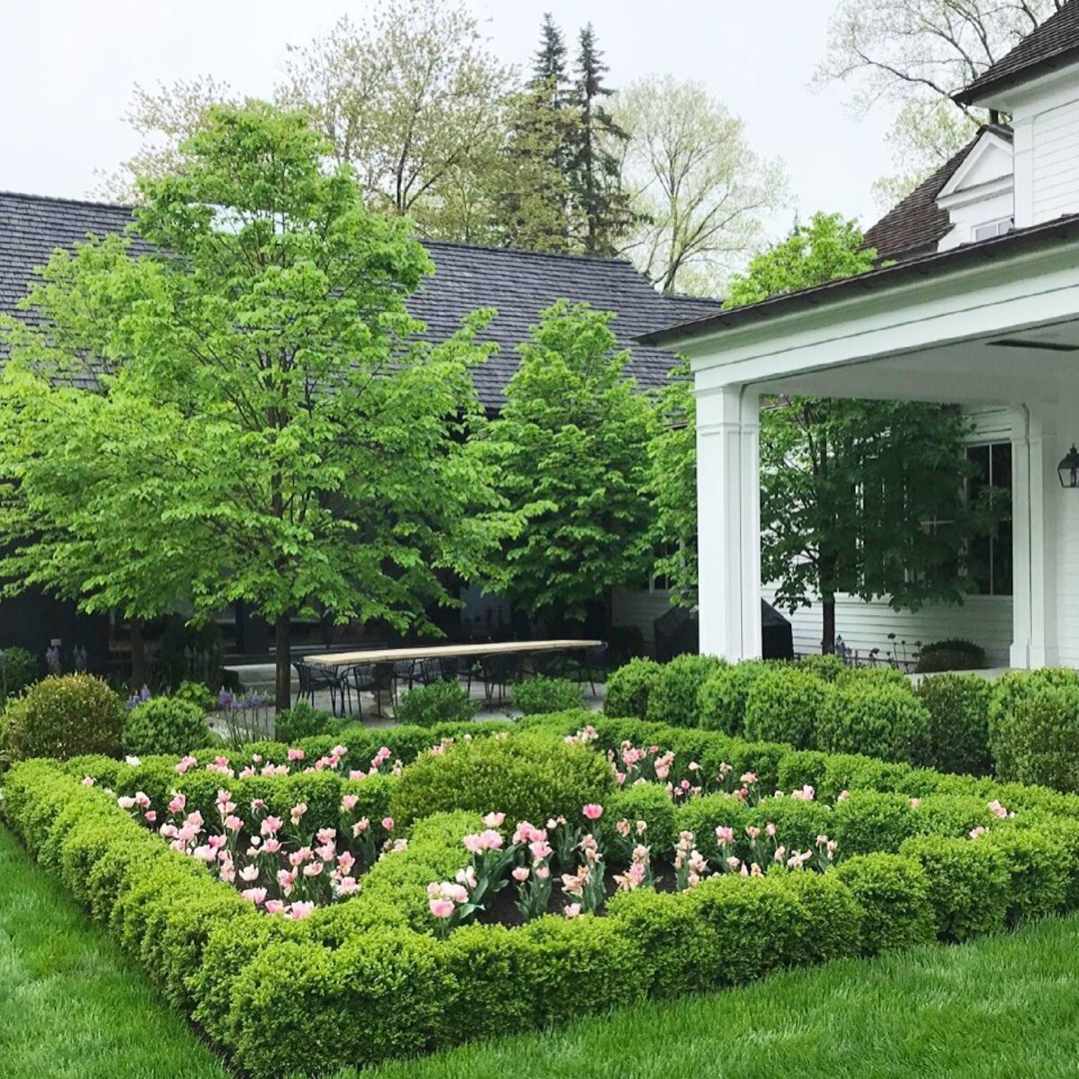 most beautiful boxwood landscaping ideas 20