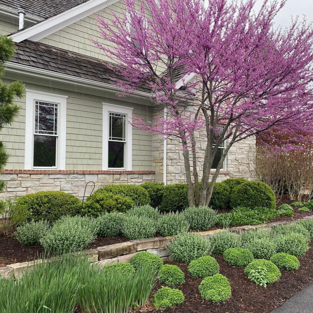 most beautiful boxwood landscaping ideas 4