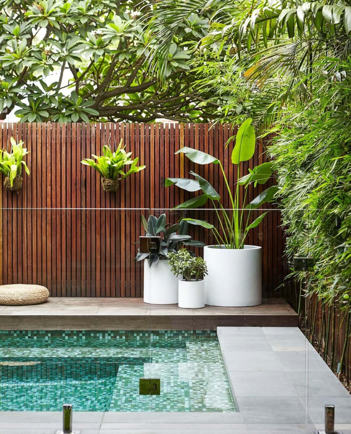 beautiful container plants perfect for poolside decor 11