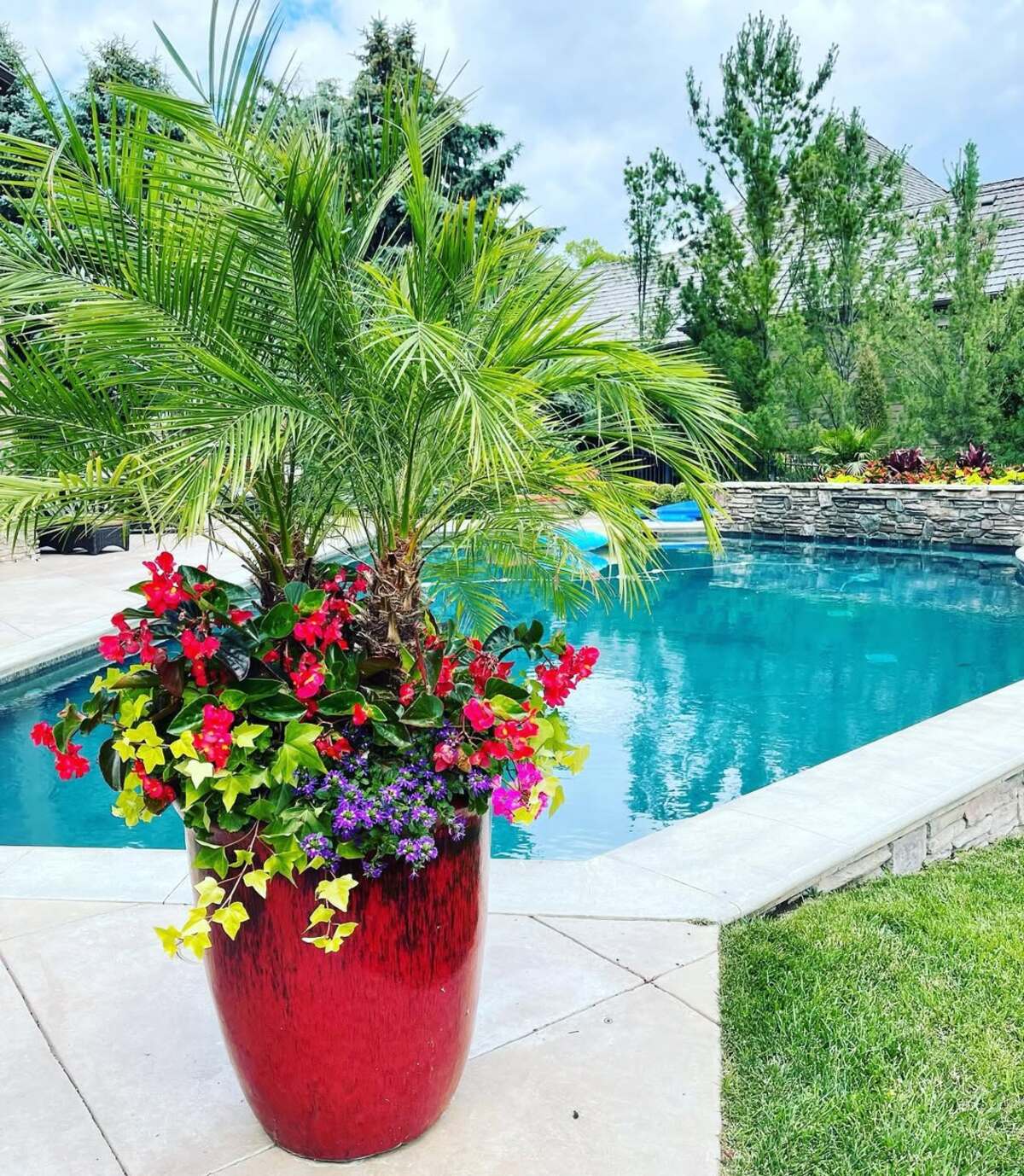 beautiful container plants perfect for poolside decor 18